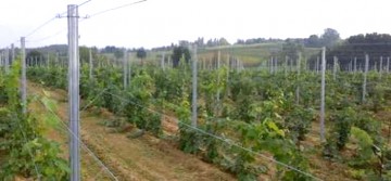 Cercetaţi de poliţiştii din Lipniţa pentru furt
